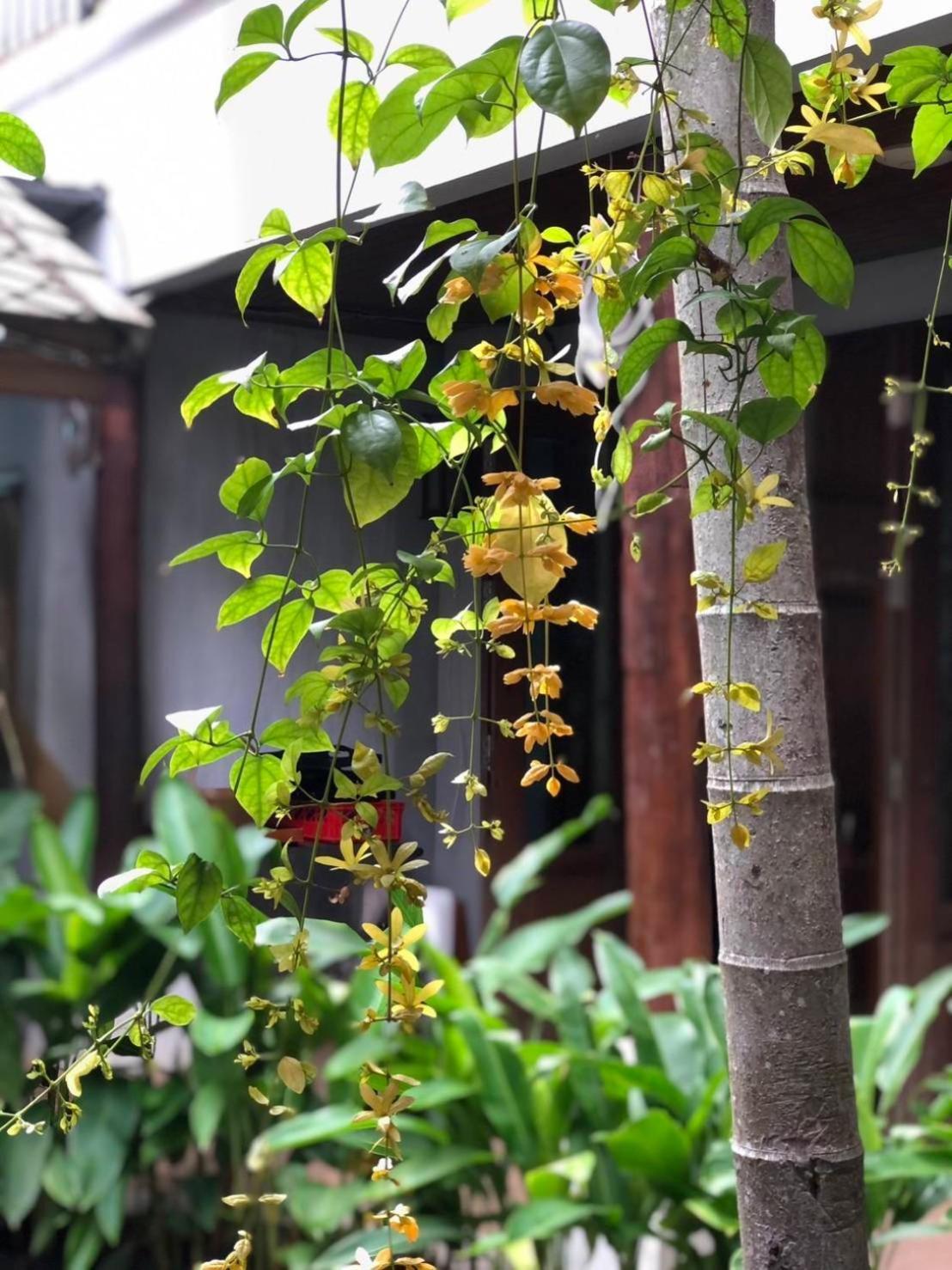 Kham Mon Lanna Resort Chiang Mai Luaran gambar
